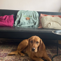 Custom Dog Face Embroidered Sweatshirt,Cat Sweatshirt,Dog Lover Sweatshirt,Personalized Gift For Mom